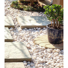 FANTIAN white pebbles arranged in a succulent pot