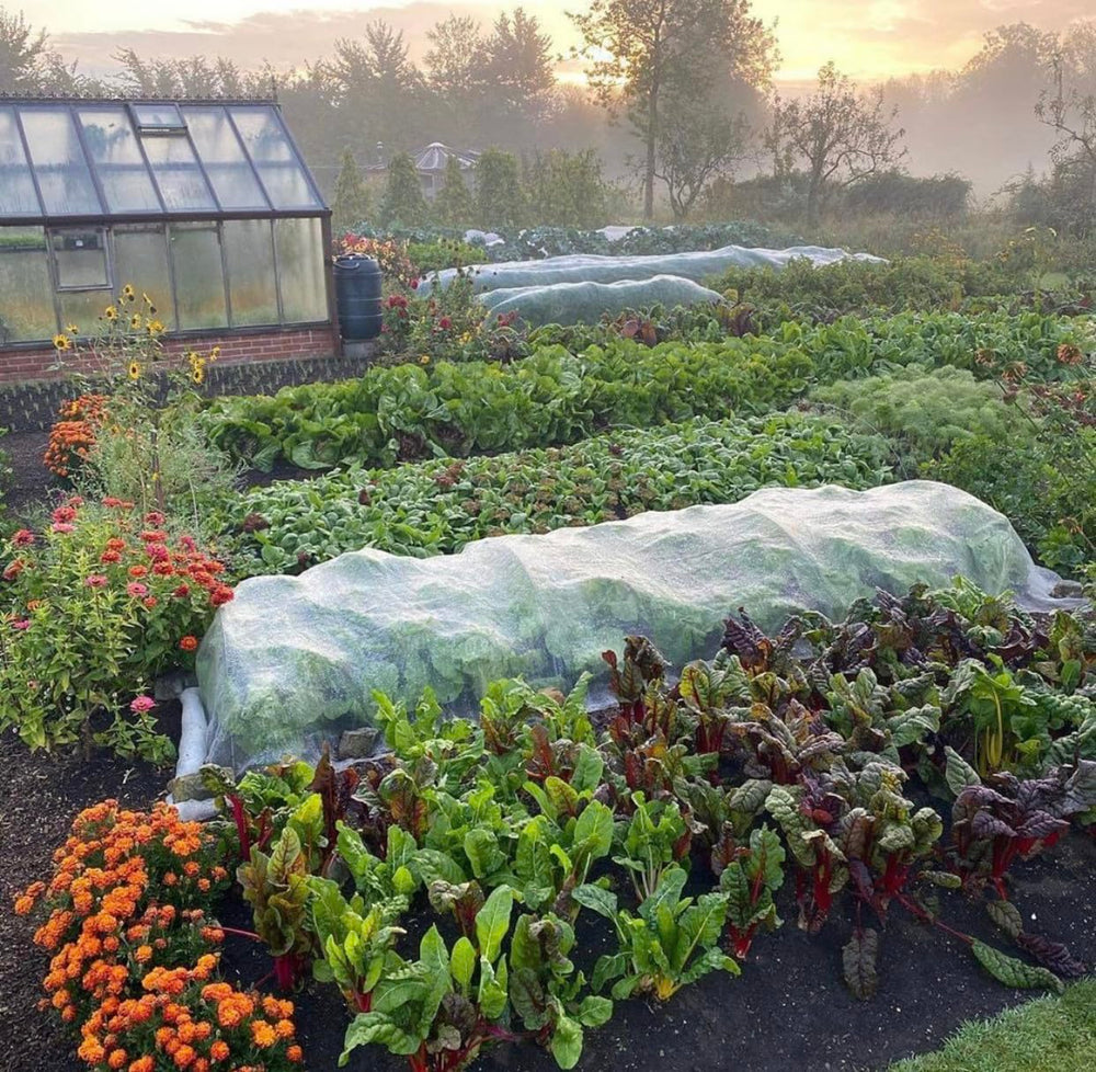 FARAER Garden Pest Netting in use on fruit trees