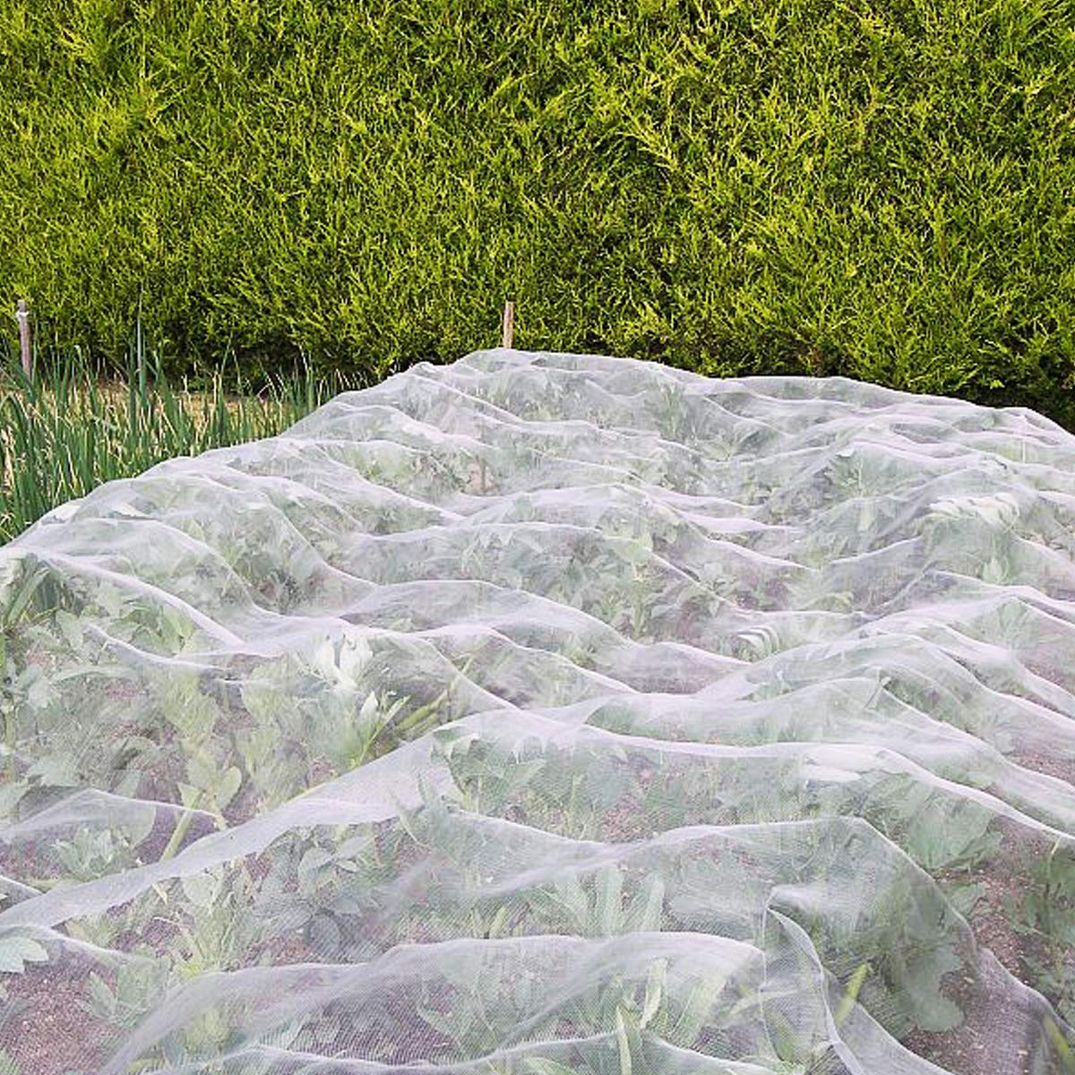 FARAER netting showing oblong hole construction