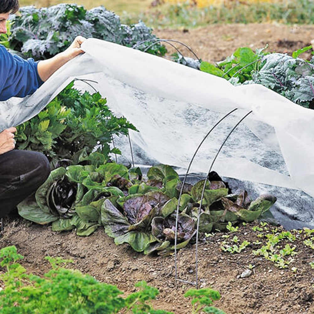 FARAER plant cover laid over a row of young plants