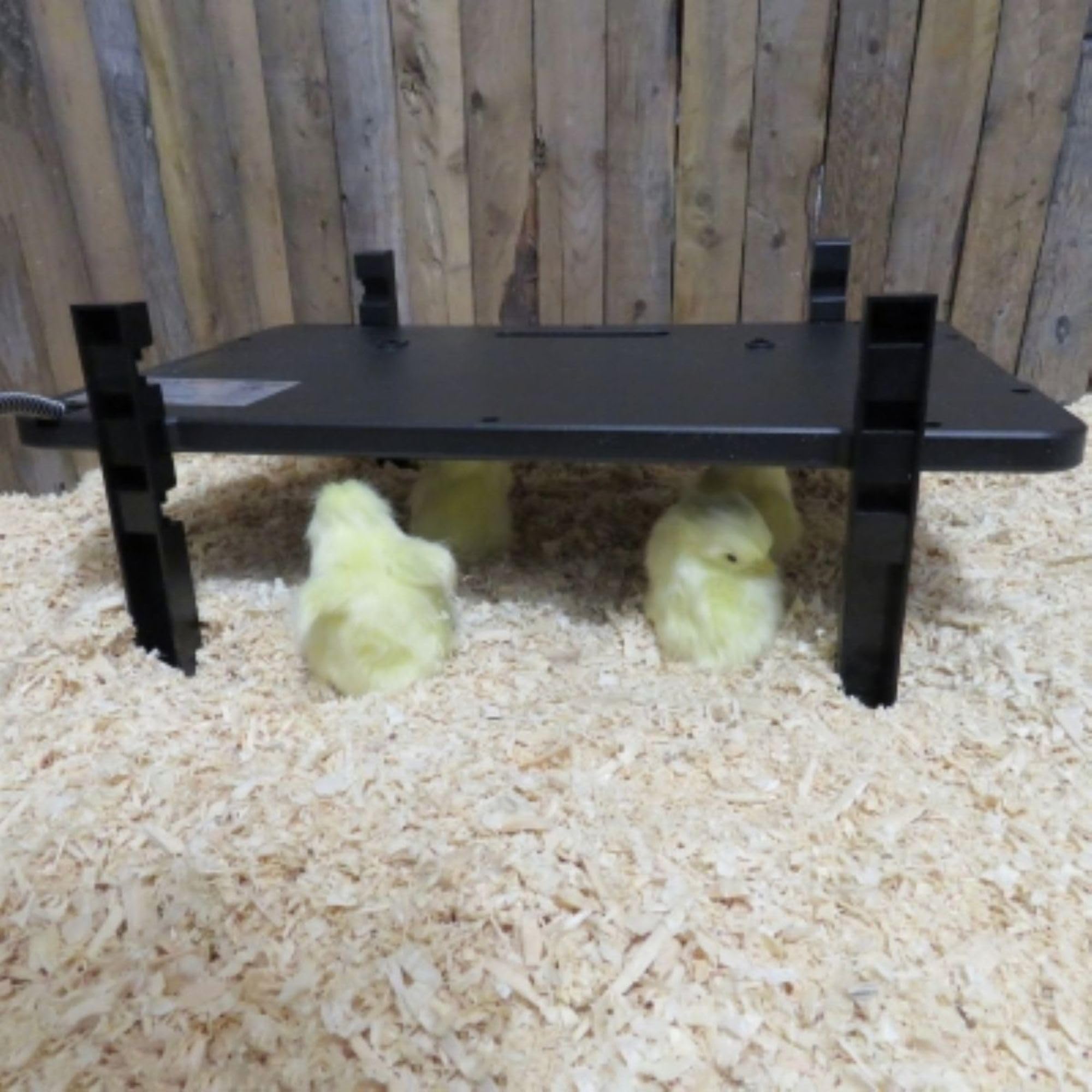 Farm Innovators chicken coop heater in use