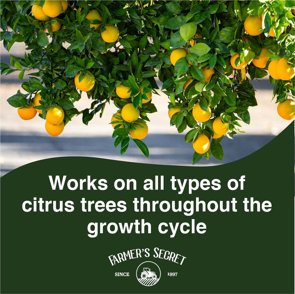 Farmer's Secret Citrus Tree Fertilizer 32oz diluted in water