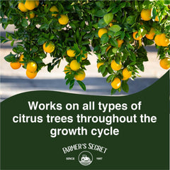 Farmer's Secret Citrus Tree Fertilizer 32oz diluted in water