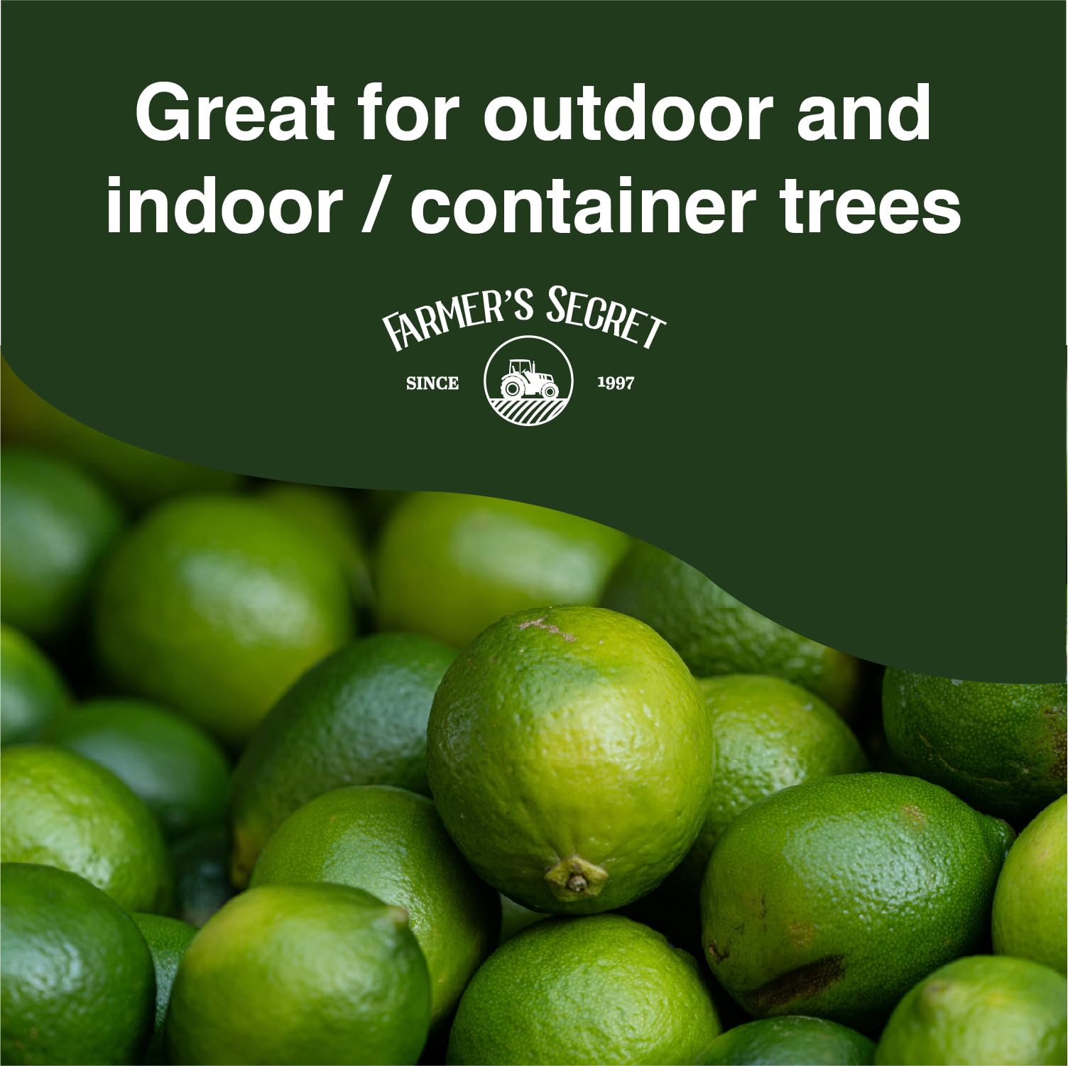 Farmer's Secret Citrus Tree Fertilizer application guide