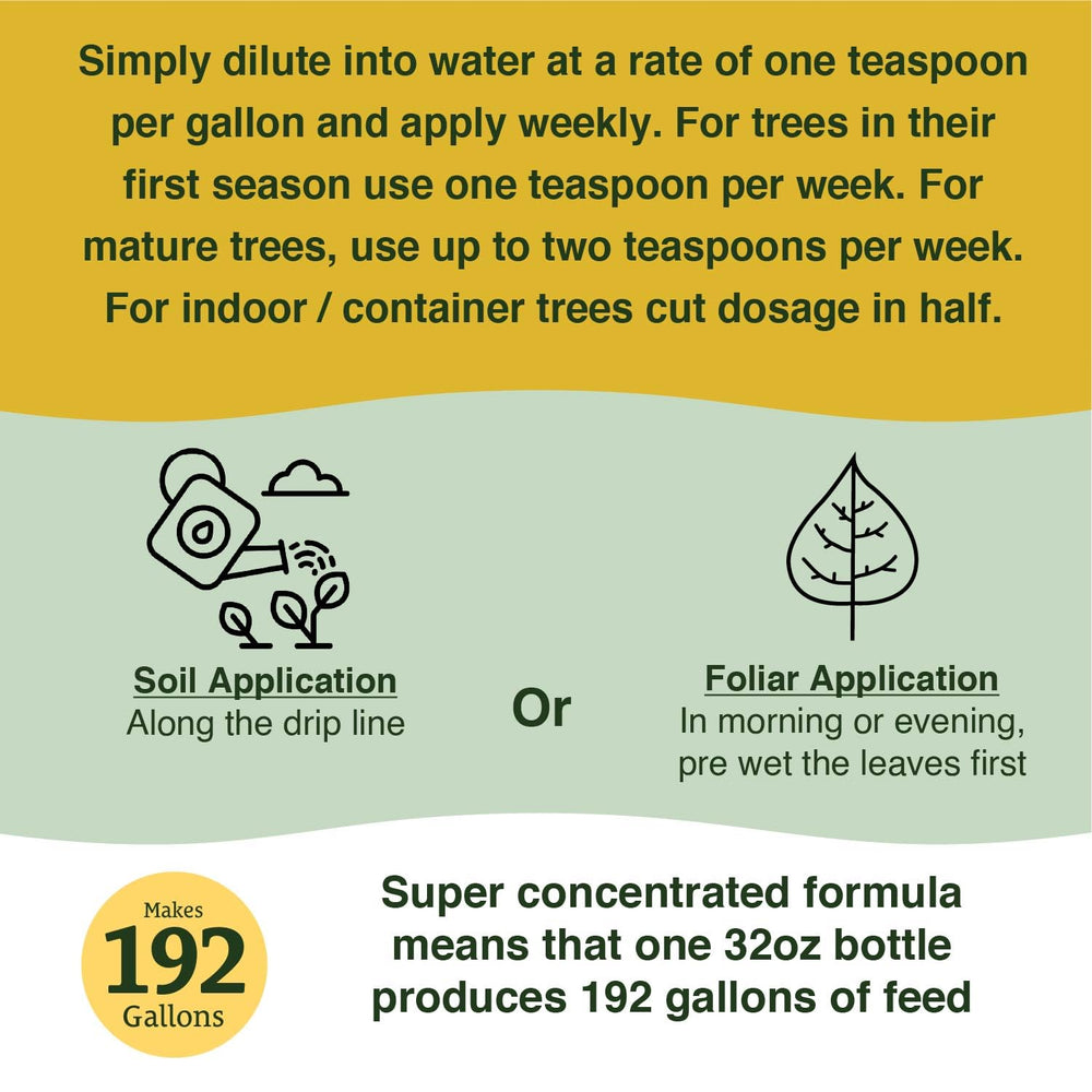 Farmer's Secret Citrus Tree Fertilizer application on citrus tree