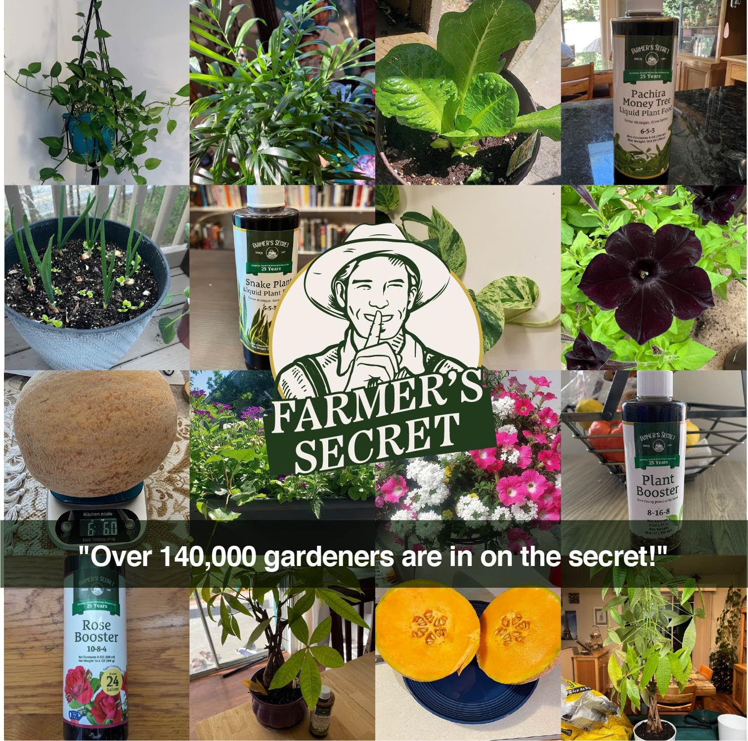 Farmer's Secret Plant support ingredients list