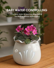 Fayoula Self Watering Plant Pot with African Violet plant