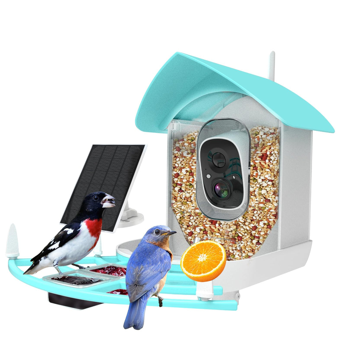 Fazoxo Bird Feeder Camera front view in blue