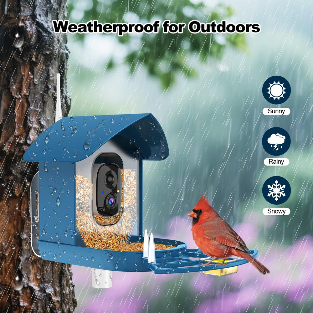 Fazoxo Bird Feeder Camera installed in a backyard setting