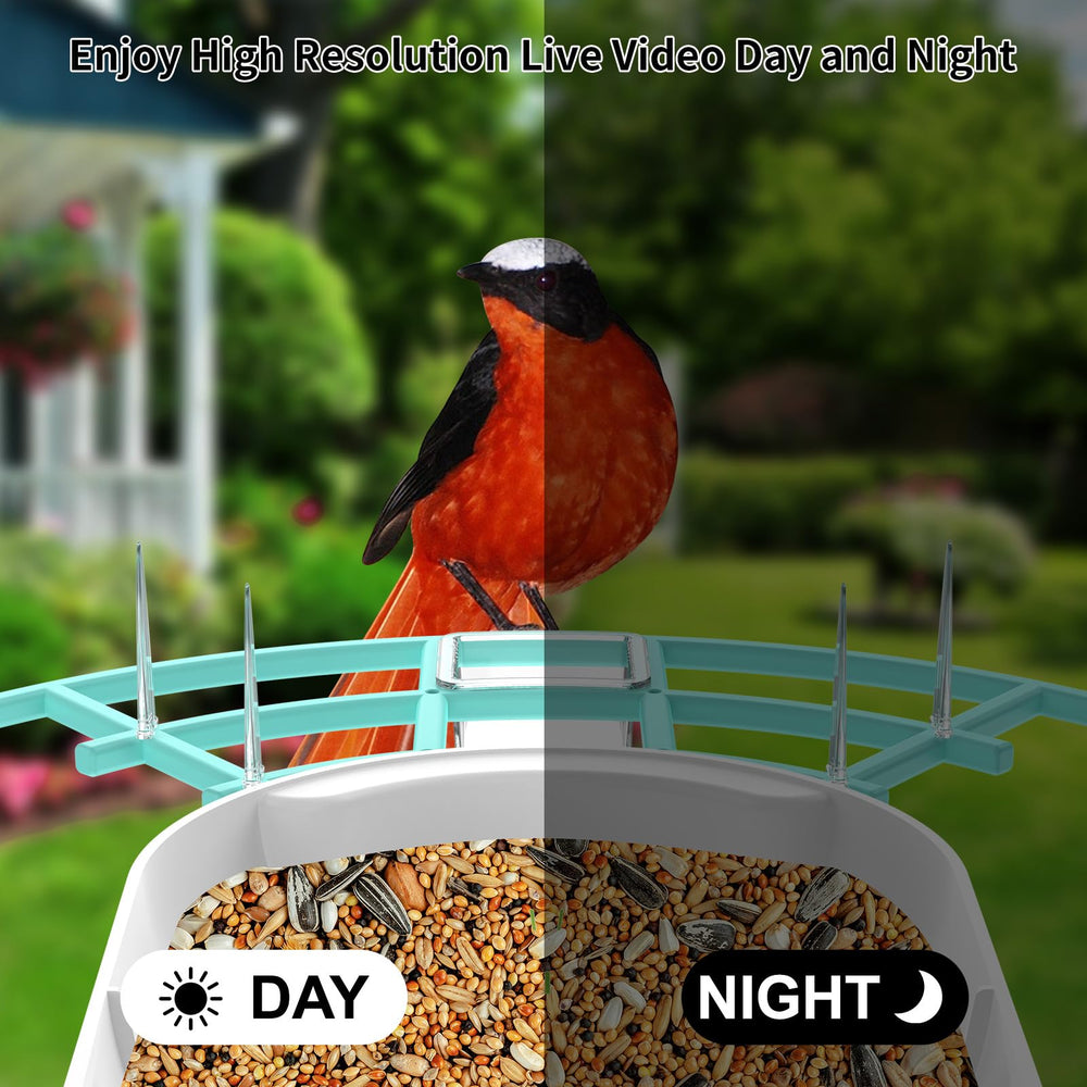 Fazoxo Bird Feeder Camera installed in a garden