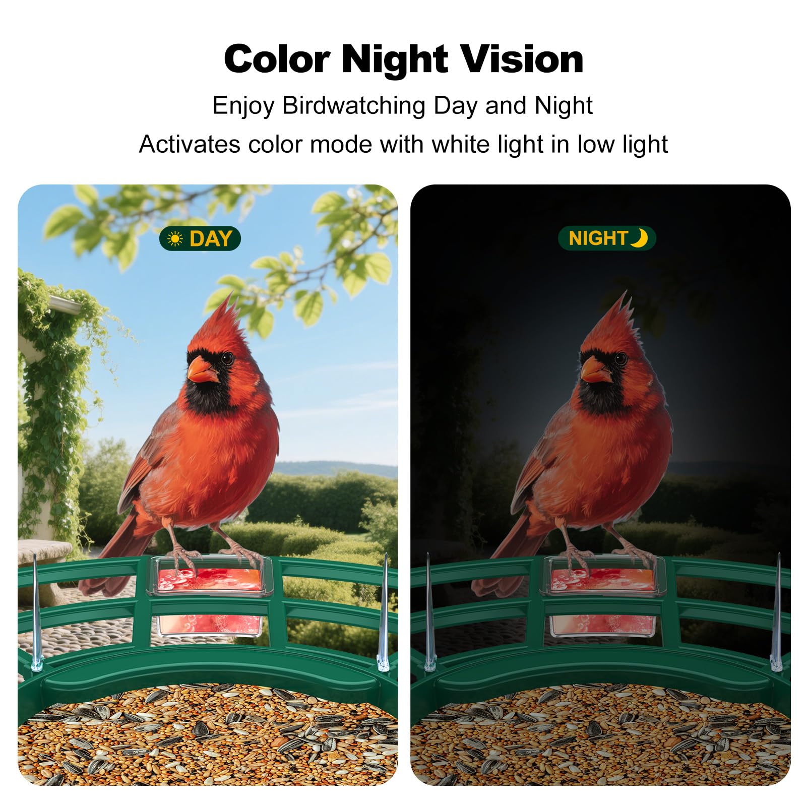 Fazoxo Bird Feeder Camera packaging with accessories
