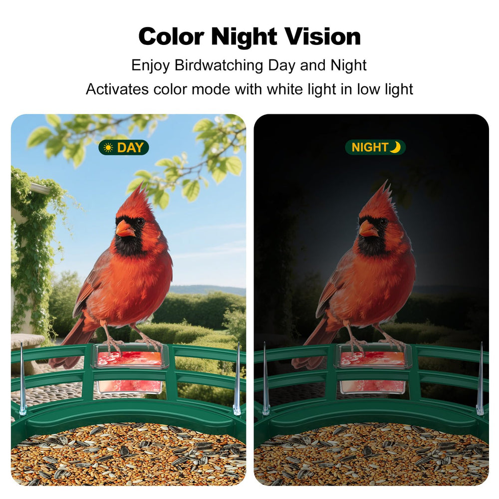 Fazoxo Bird Feeder Camera packaging with accessories