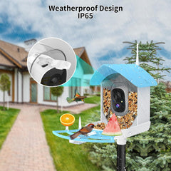 Fazoxo Bird Feeder mounted in a garden