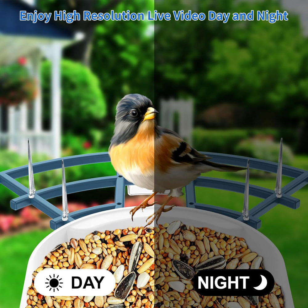 Fazoxo Bird Feeder with Camera close-up of feeding tray