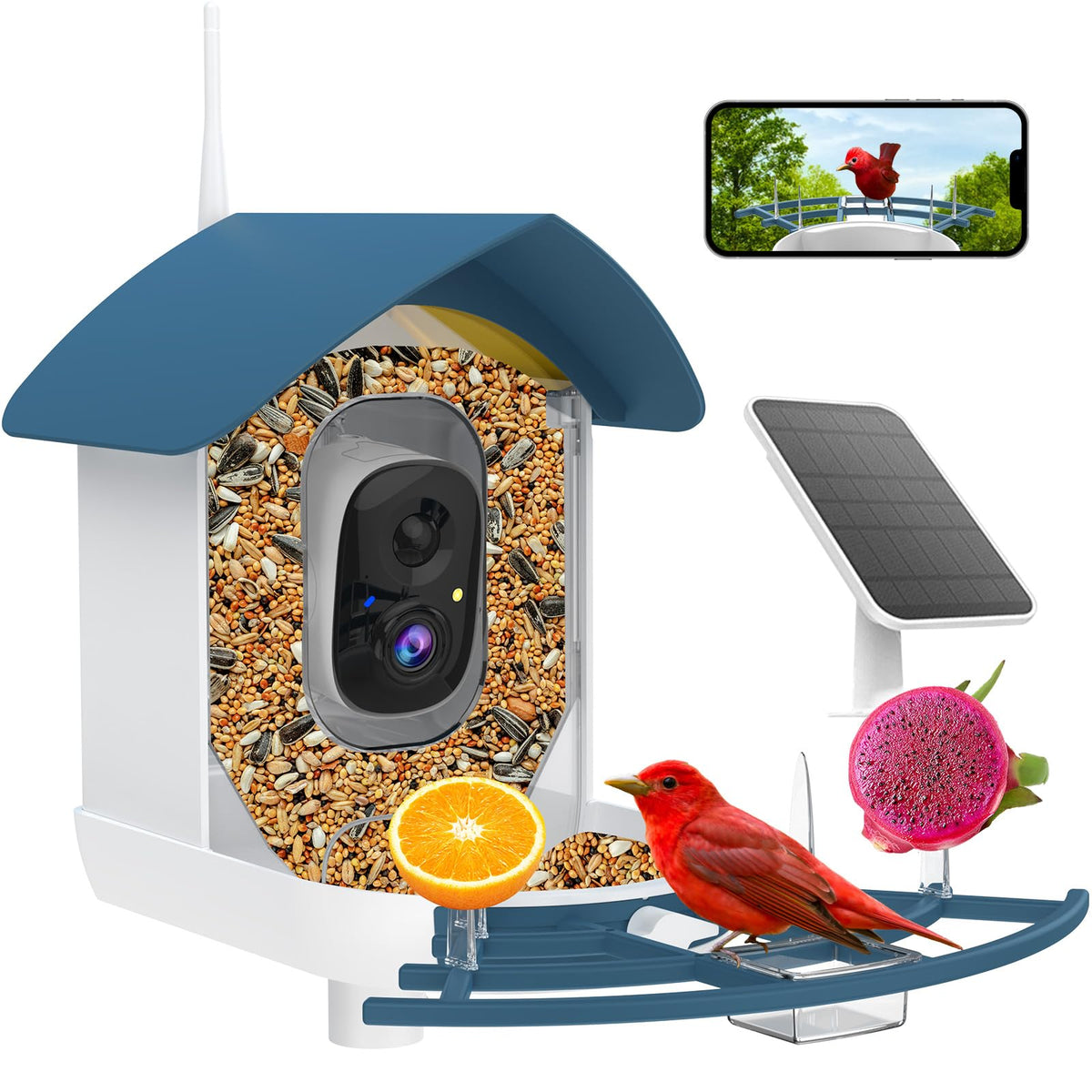 Fazoxo Bird Feeder with Camera front view, Navy Blue