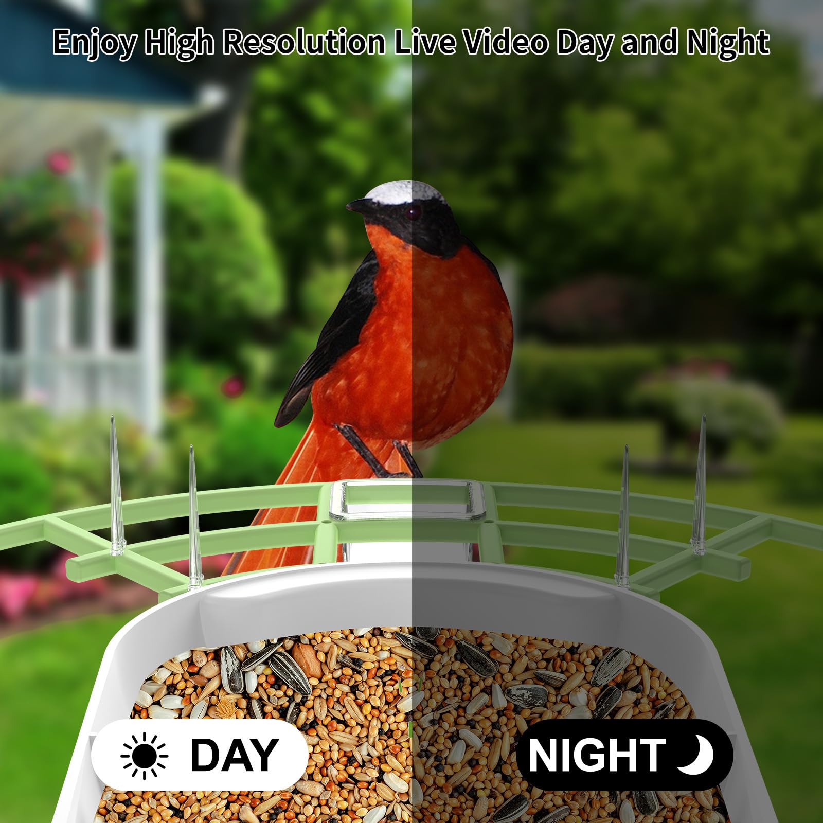 Fazoxo Smart Bird Feeder installed in a garden
