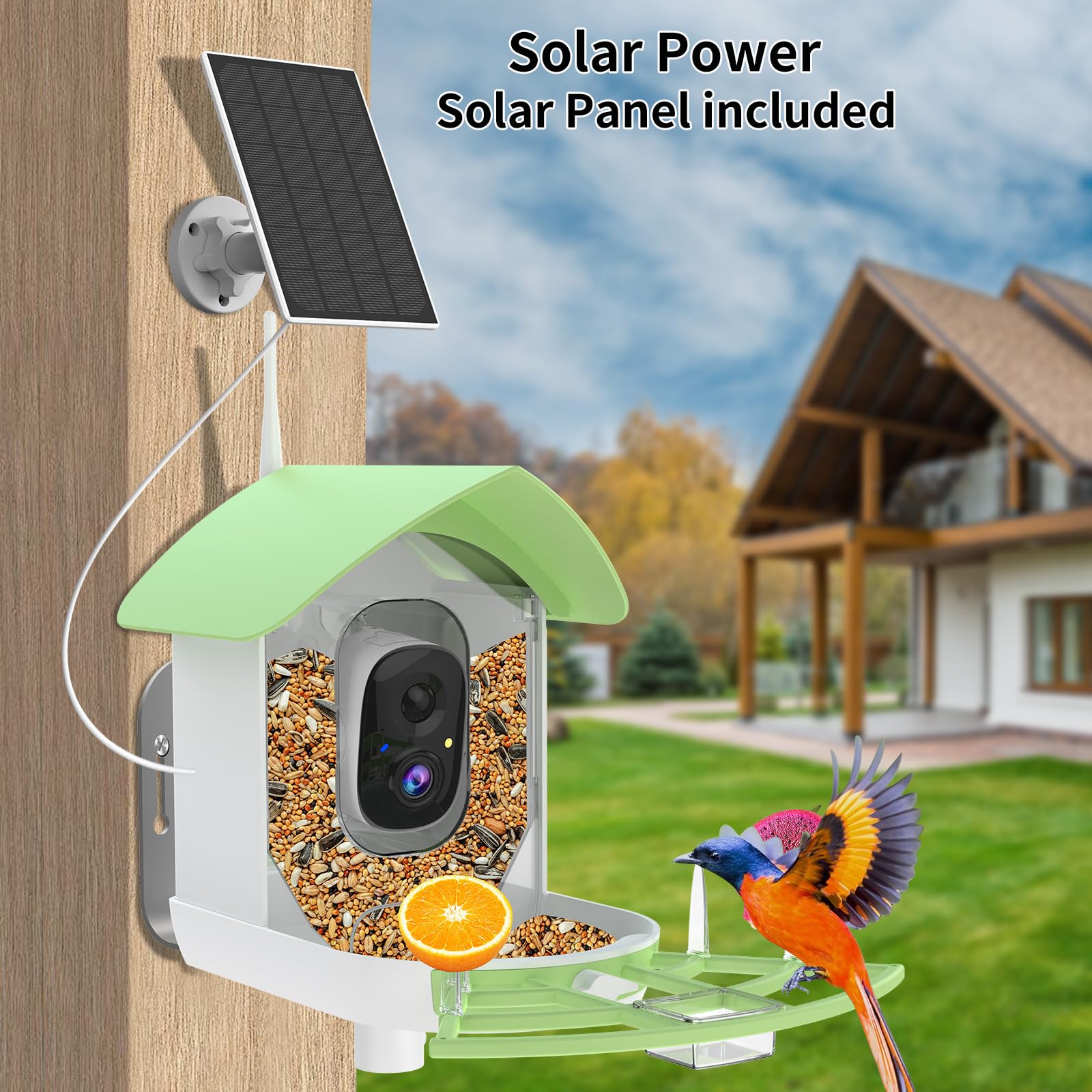 Fazoxo Smart Bird Feeder with mobile app interface