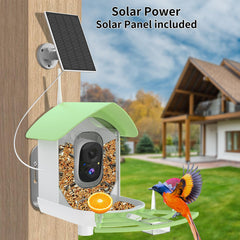 Fazoxo Smart Bird Feeder with mobile app interface