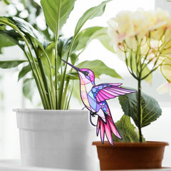 FBBP Hummingbird Hanging Planter displayed indoors with plants