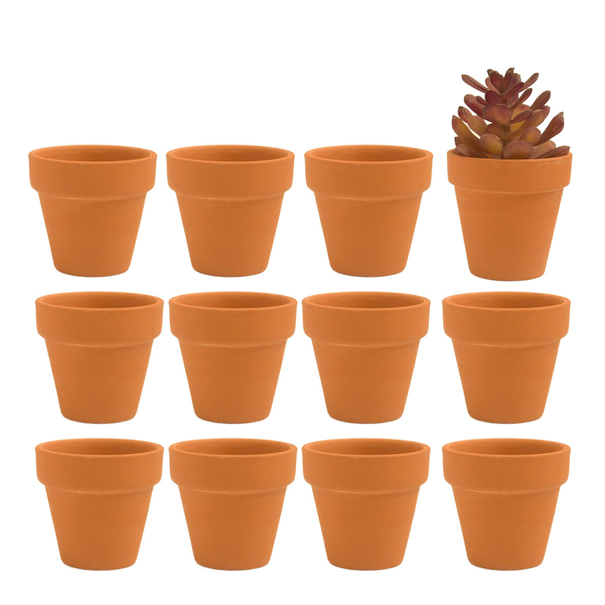Fcacti 12 PCS Mini Terracotta Pots front view with drainage hole