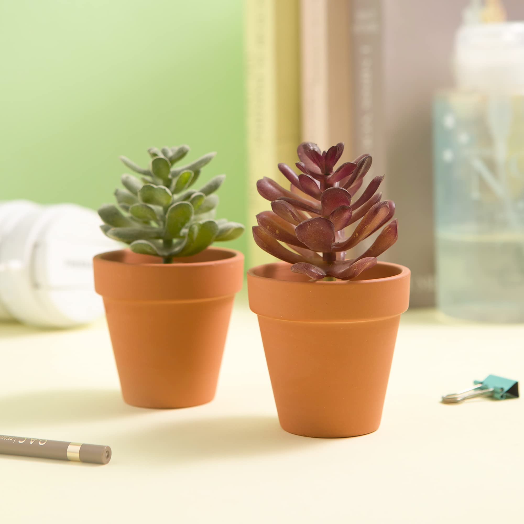 Fcacti Mini Terracotta Pot set displayed on a windowsill