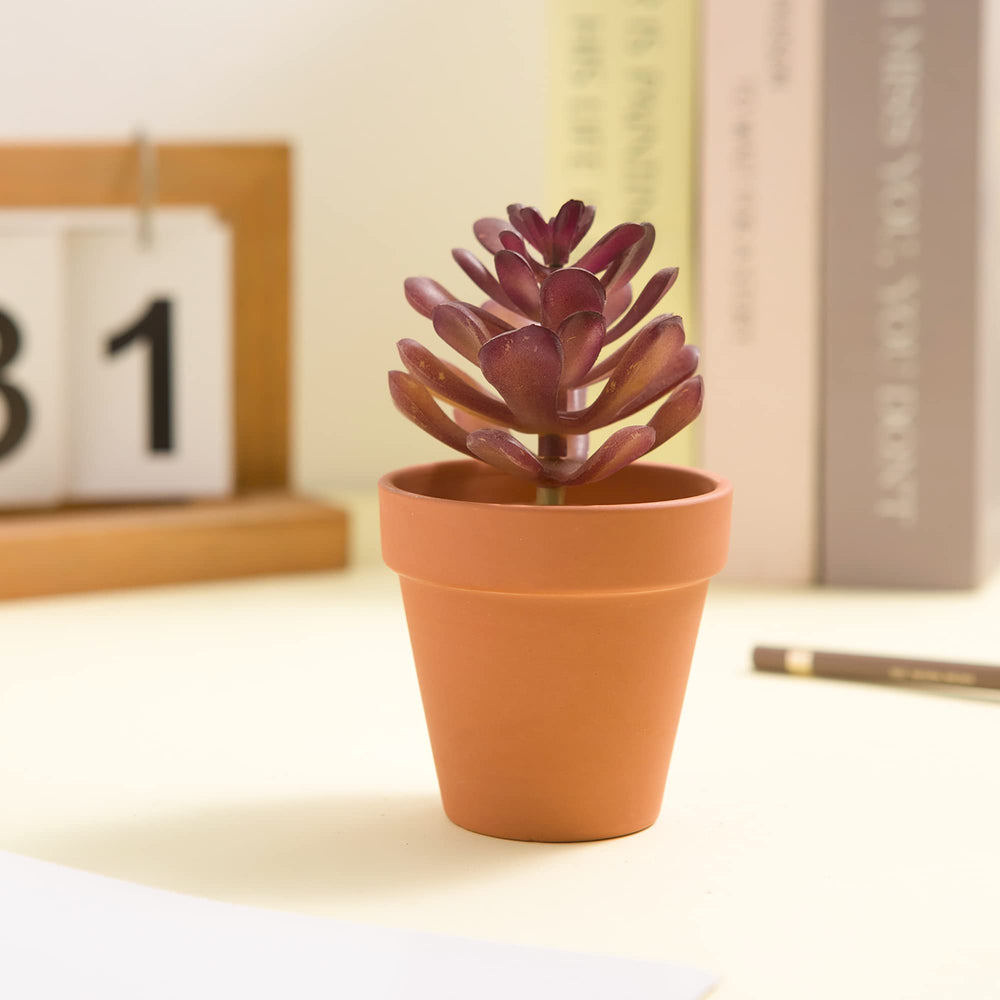 Fcacti Mini Terracotta Pots arranged as a decorative centerpiece