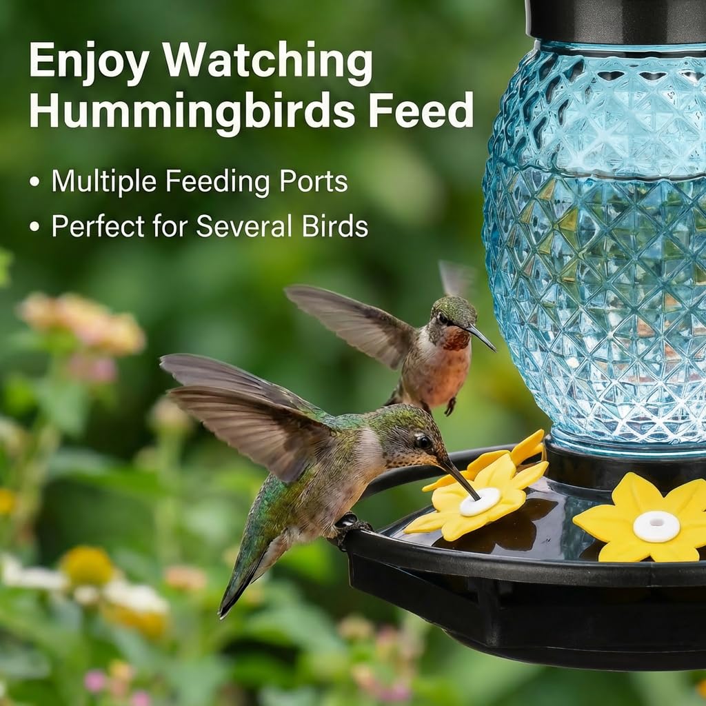 Fchstaer hummingbird feeder with ant moat and perch
