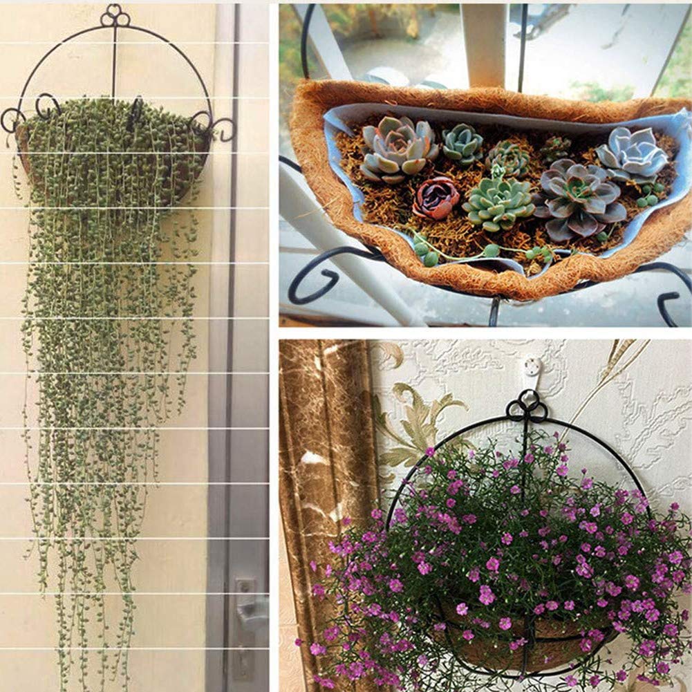 FDGARDEN half round coconut liners placed in hanging basket