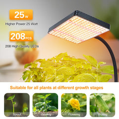 FECiDA Bonsai Grow Light in use on a desktop with plants
