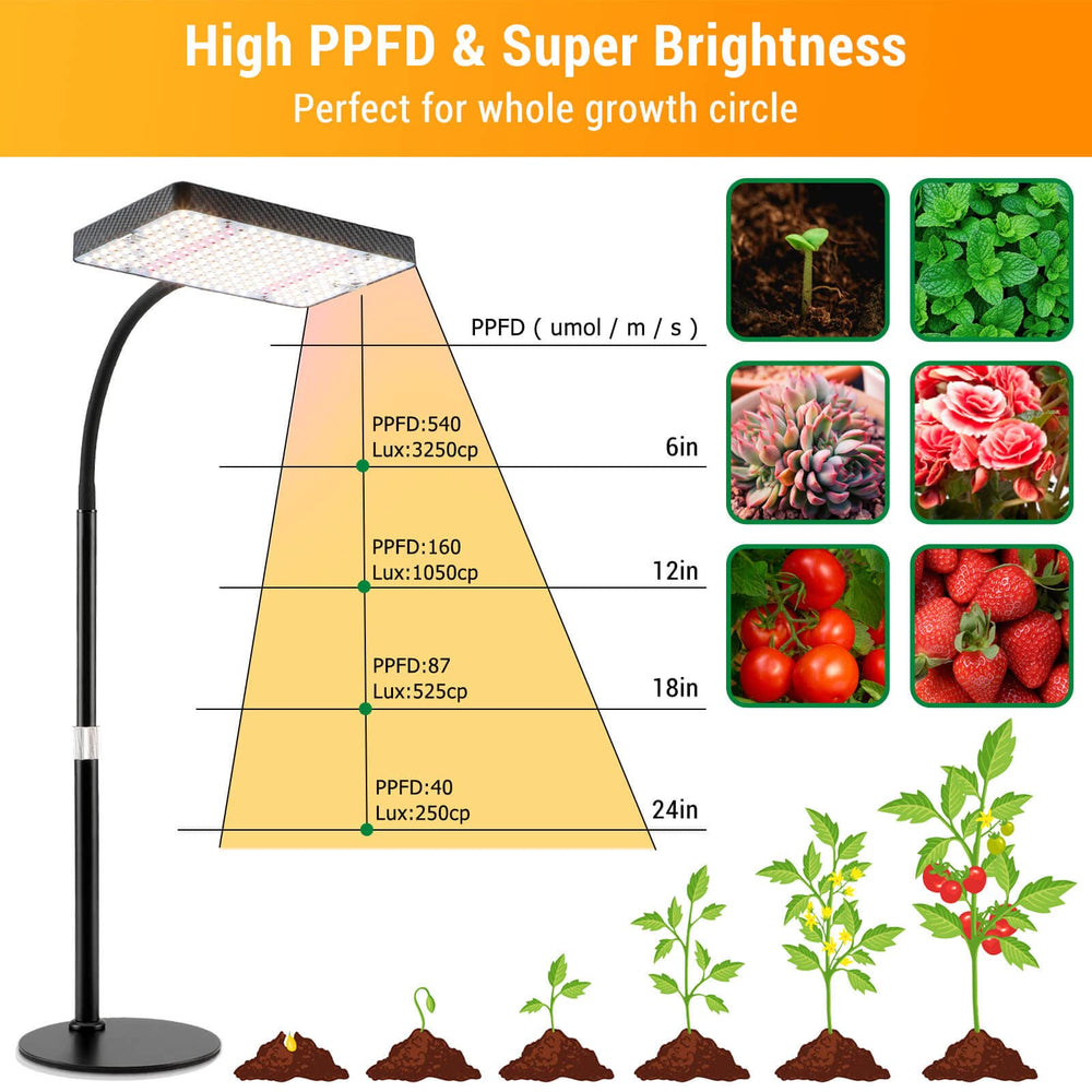 FECiDA Bonsai Grow Light showing daisy chain functionality