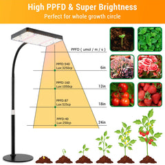 FECiDA Bonsai Grow Light showing daisy chain functionality