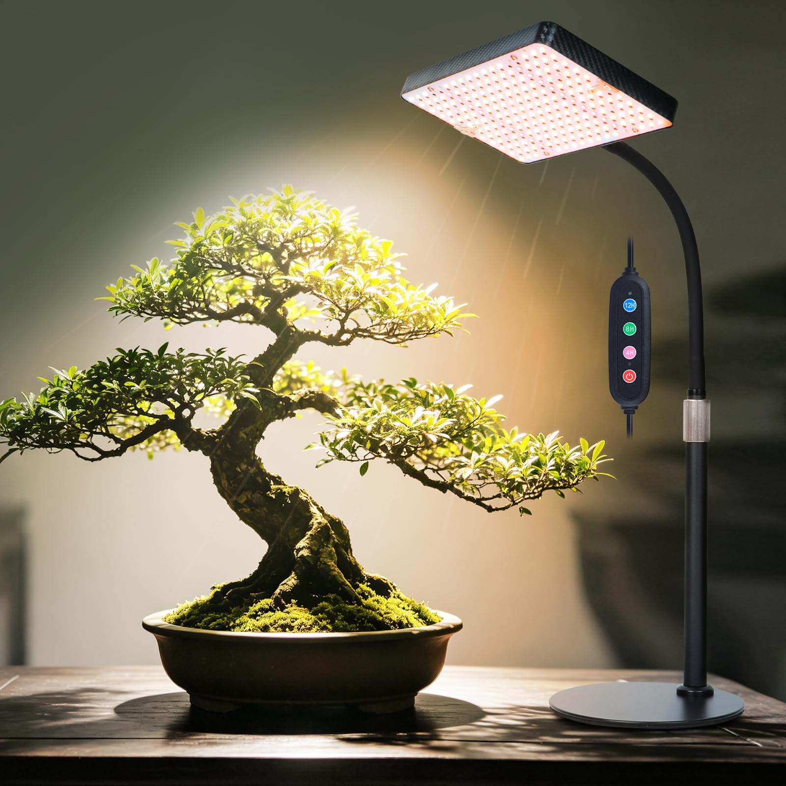 FECiDA Bonsai Grow Light showing timer settings