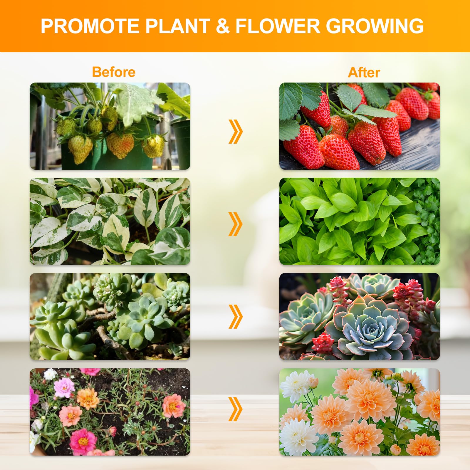 FECiDA grow light packaging with product details