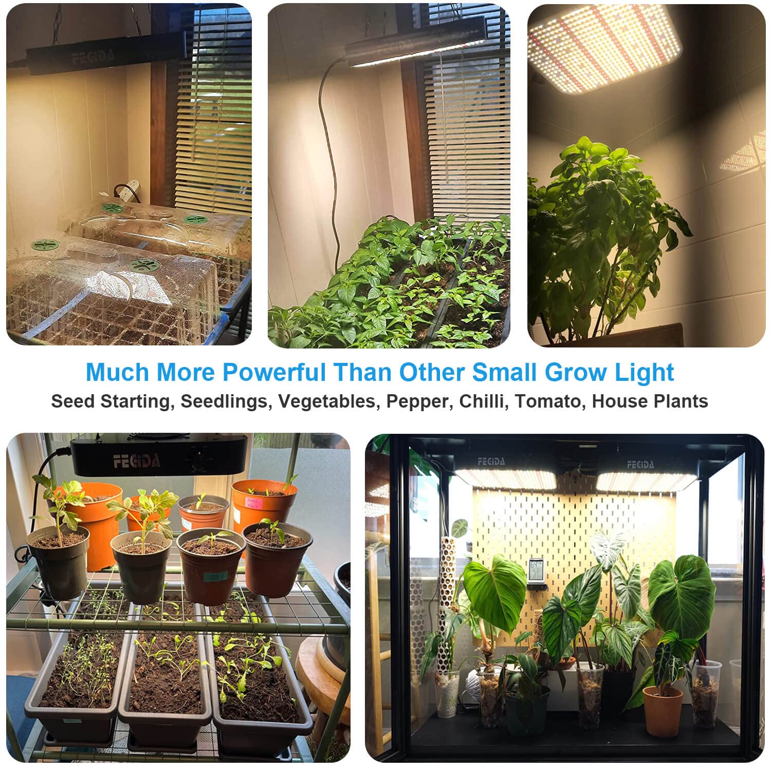 FECiDA LED Grow Light mounted in a grow tent