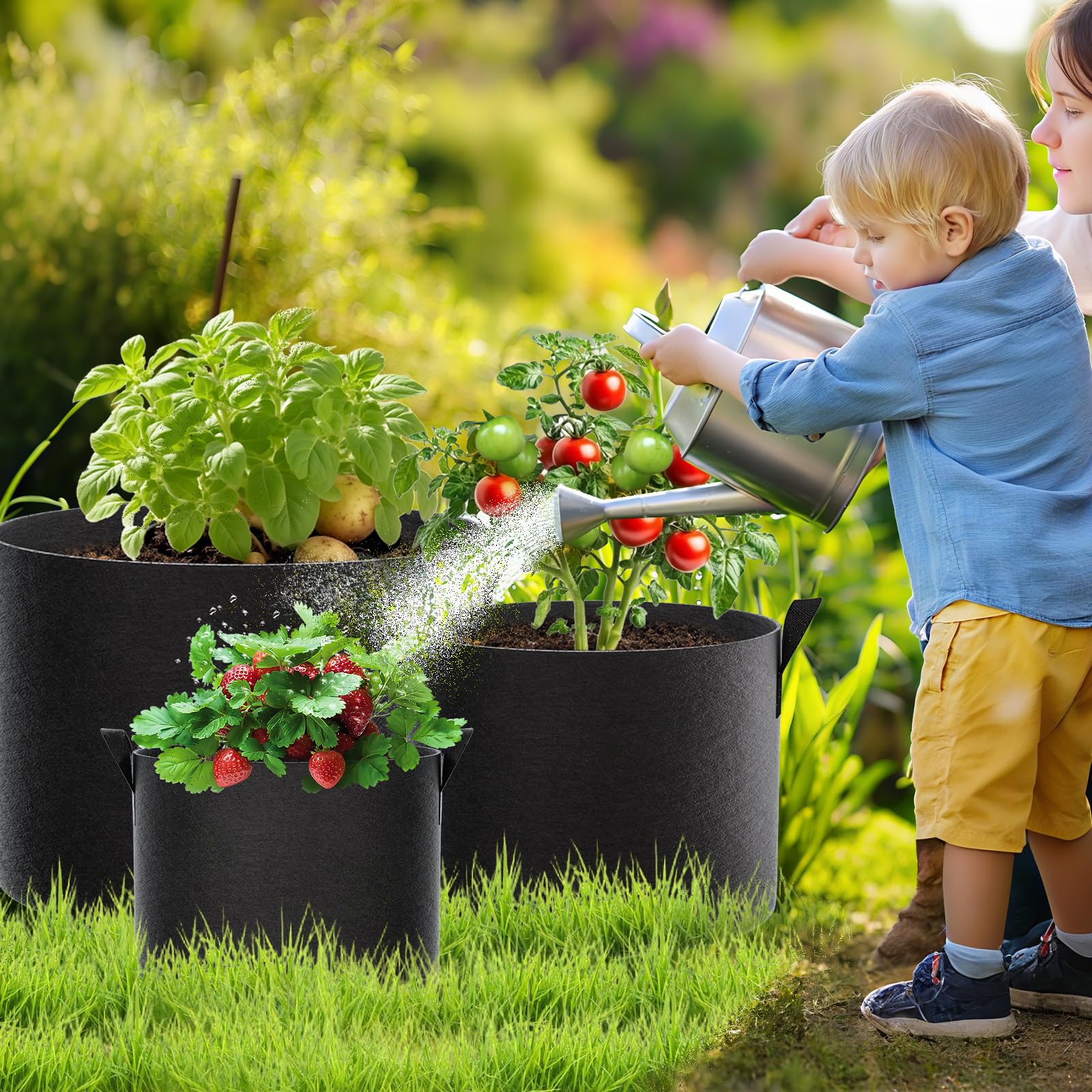 FEED GARDEN 5 Gallon Grow Bag with strawberries growing inside