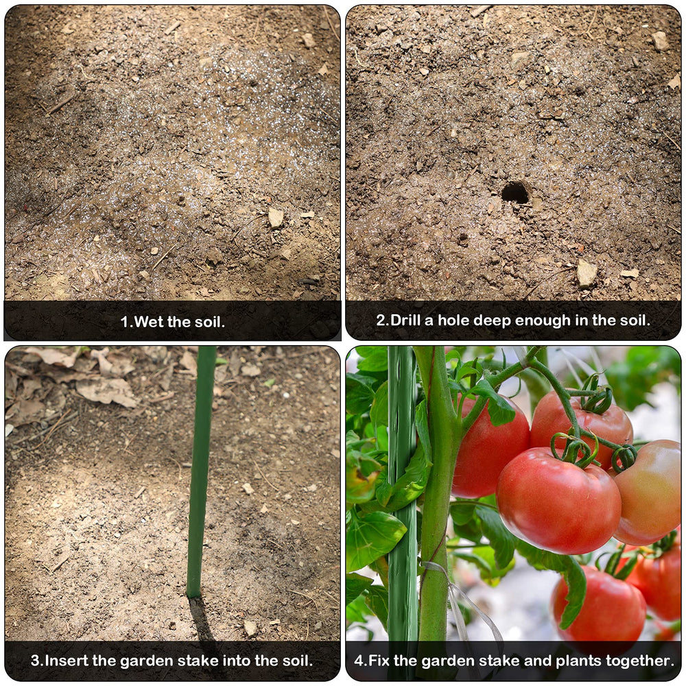FEED GARDEN garden stakes with plants tied to them