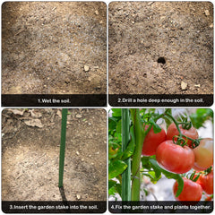 FEED GARDEN garden stakes with plants tied to them