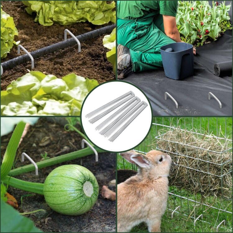 FEED GARDEN landscape staples with Christmas lights