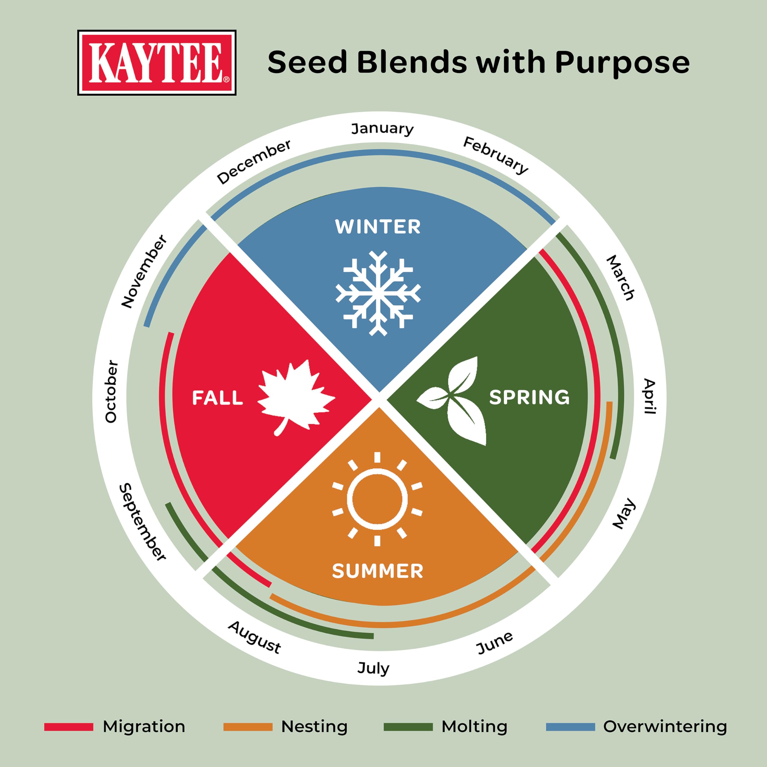 Feeding young birds with Kaytee Wild Bird Food