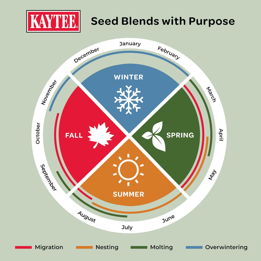 Feeding young birds with Kaytee Wild Bird Food