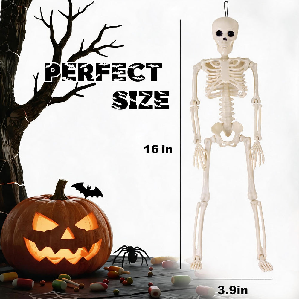 Feir 16-inch skeleton with movable joints