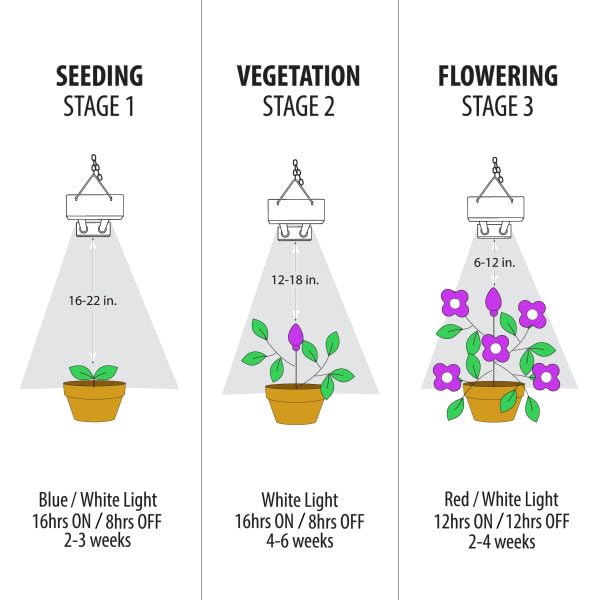 Feit Electric Grow Light in use over indoor plants