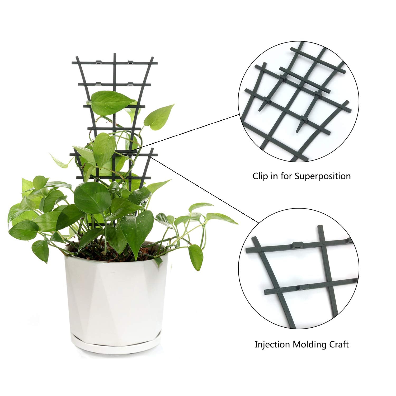 Feitore Indoor Plant Trellis package view