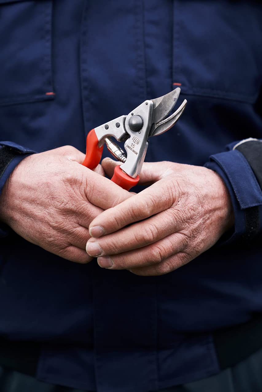FELCO F 15 shears showing ergonomic design