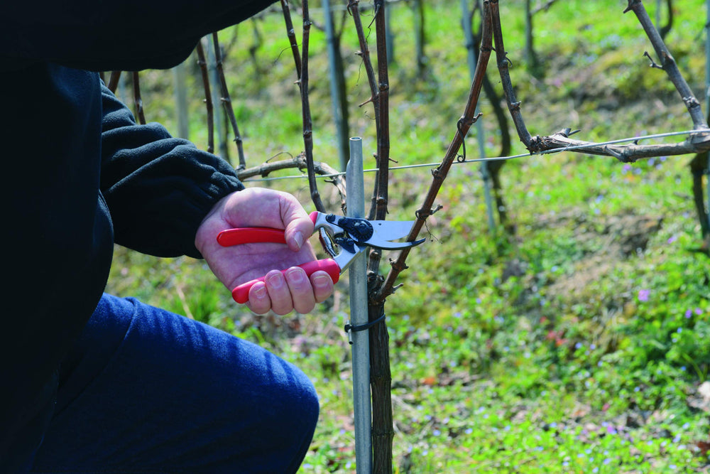FELCO F17 pruning shears on a garden table