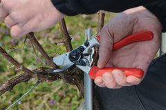 FELCO F7 Shears showing precision bypass blade