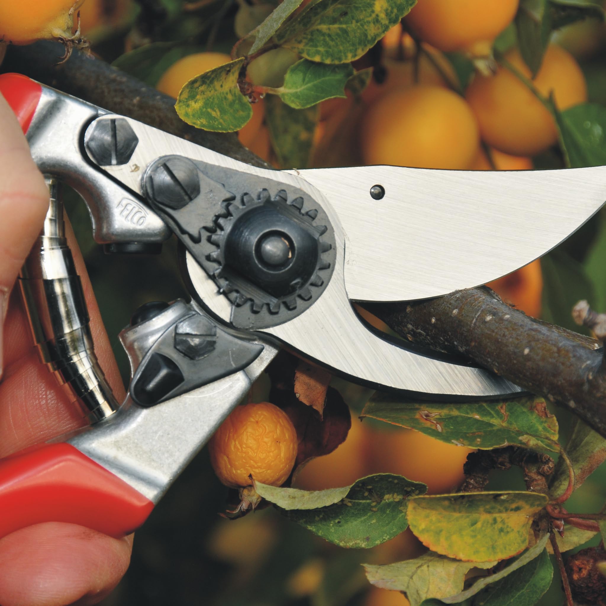 FELCO F9 Pruning Shears in packaging with specifications