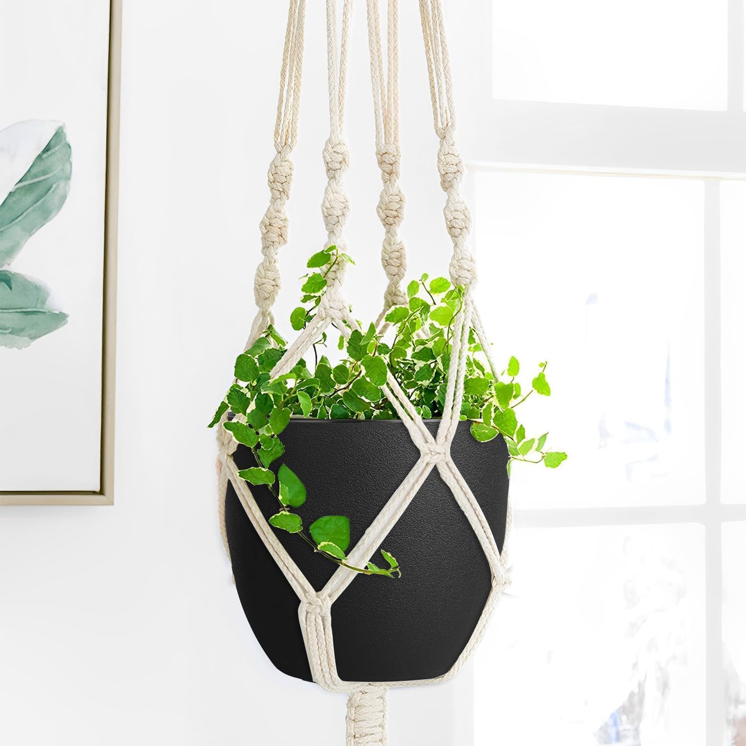 Ferlypote 8 Inch Black Plant Pot on patio