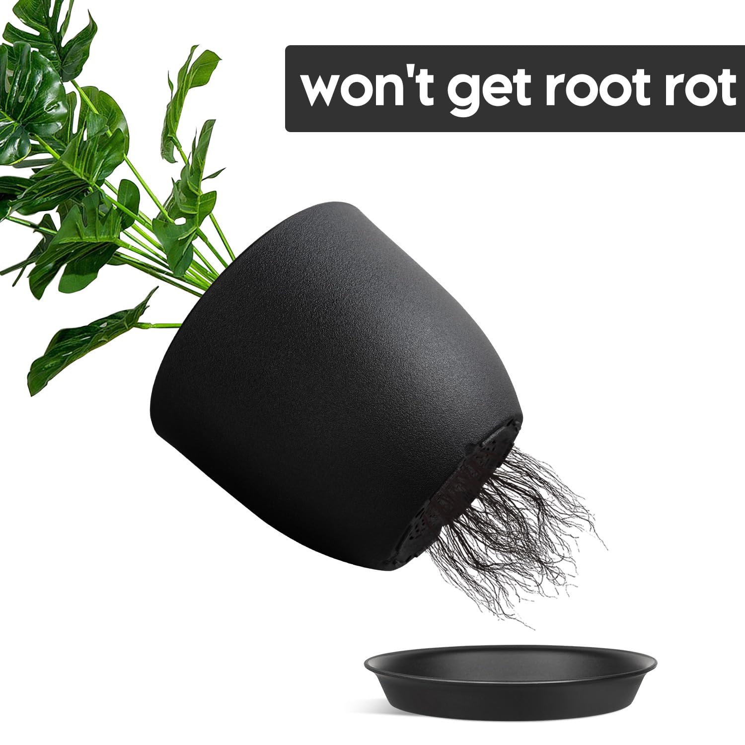 Ferlypote 8 Inch Black Plant Pot with succulent