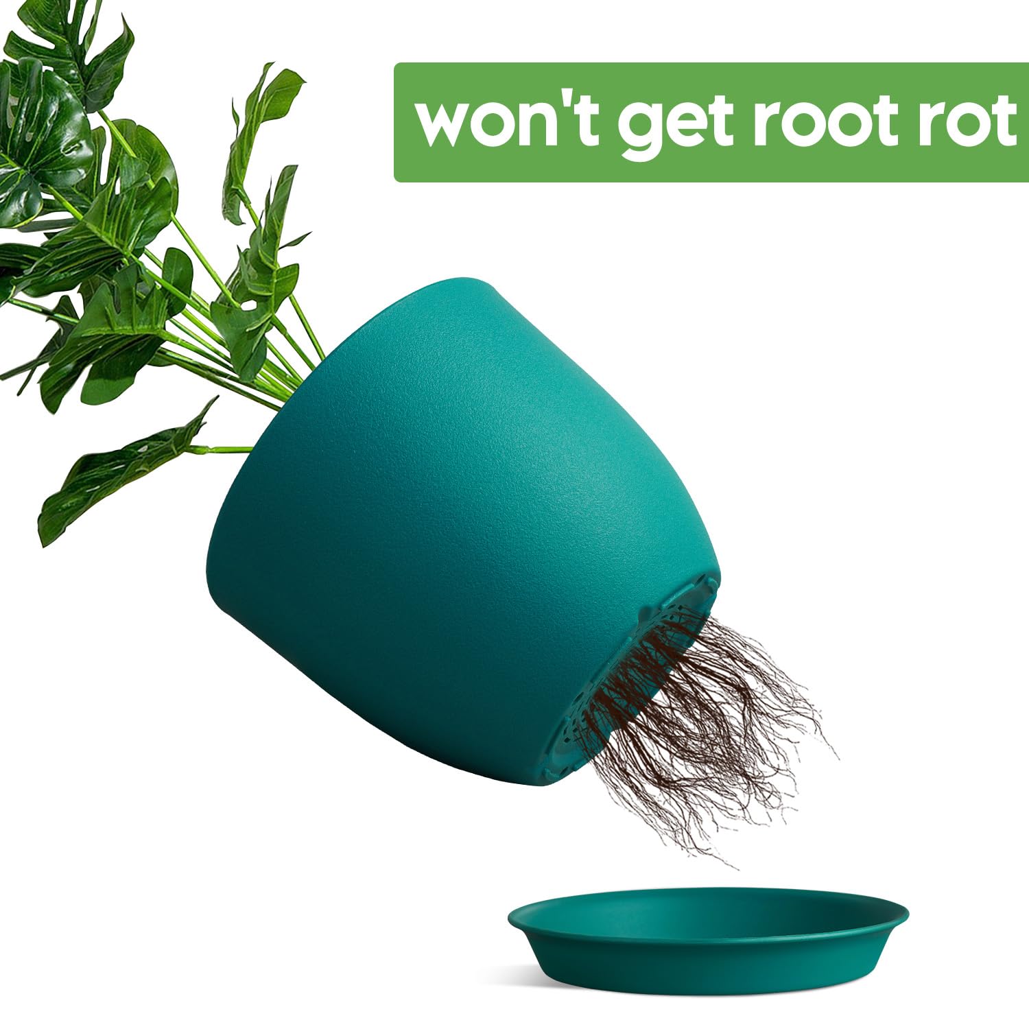 Ferlypote 8 Inch Blue Plant Pot with succulent